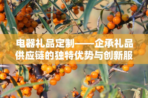 电器礼品定制——企承礼品供应链的独特优势与创新服务